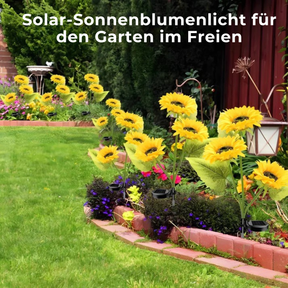 Solar SunFlower™ LED-Leuchten